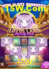Recursos de Bônus ZZQQ